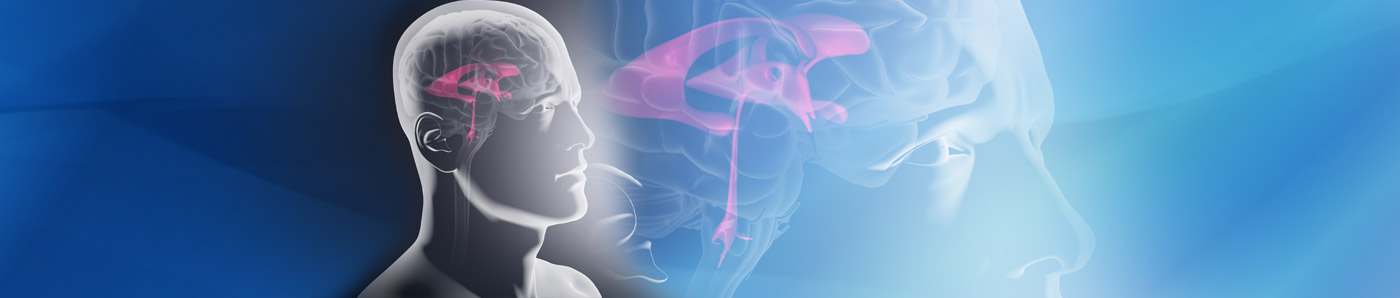Sistemi di drenaggio esterno Neuromedex<sup>®</sup>